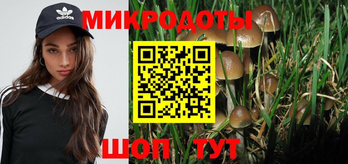 как найти наркотики  Псилоцибиновые грибы ЛСД  Урюпинск  Вход с VPN  Галлюциногенные грибы мицелий 